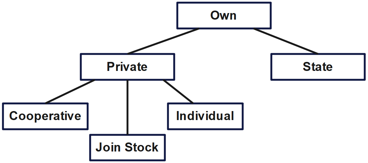 Collective ownership of enterprises and whether the transition to it is necessary